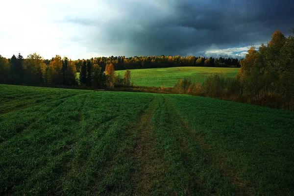Hösten skogen i fältet — Stockfoto