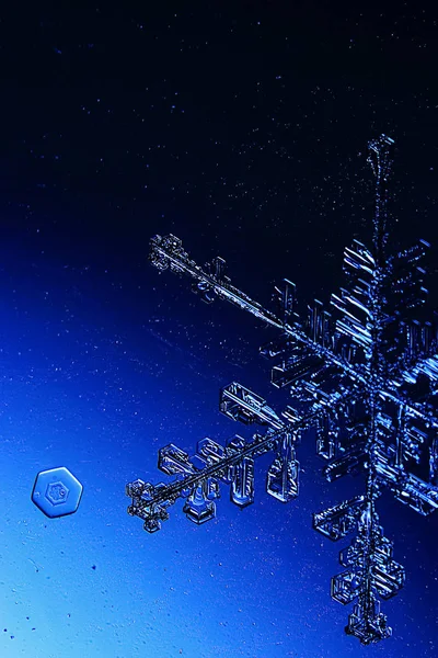 Snowflake on a blue background — Stock Photo, Image