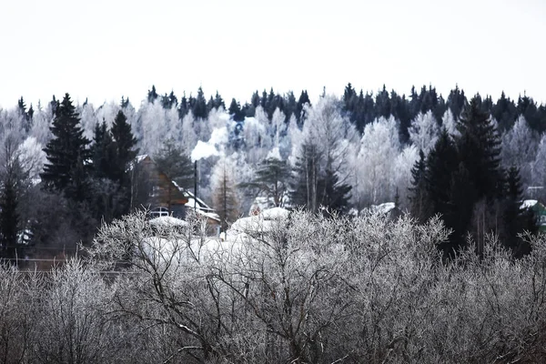 Schneebedeckter Winterwald — Stockfoto