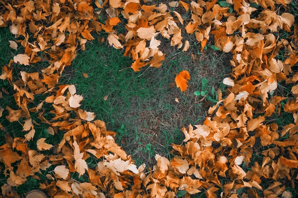 Corazón de hojas de otoño en la hierba — Foto de Stock