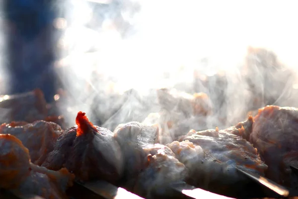 Shish kebab on the grill — Stock Photo, Image