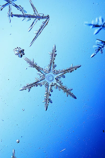 青い背景に雪の結晶 — ストック写真