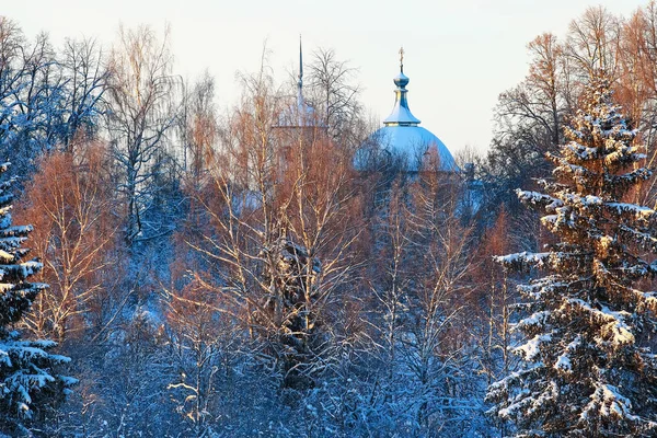 Cúpulas de uma igreja em uma floresta de inverno — Fotografia de Stock