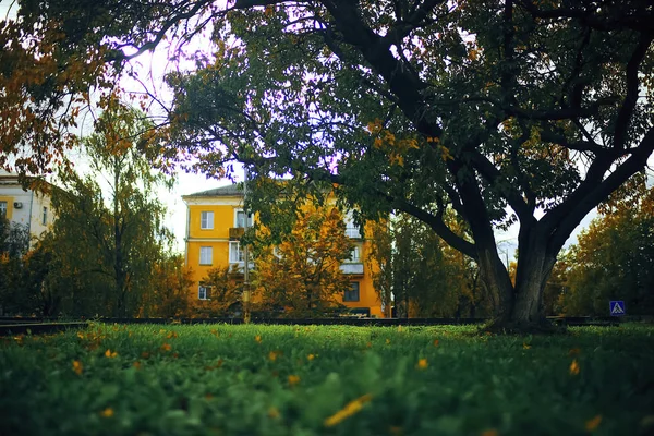 Árboles en el parque de otoño — Foto de Stock