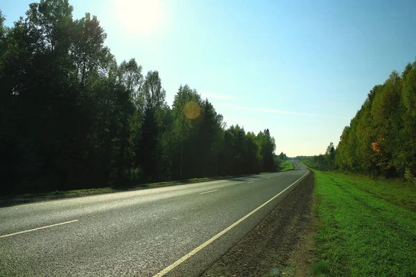 Ormanı yaz aylarında yol — Stok fotoğraf