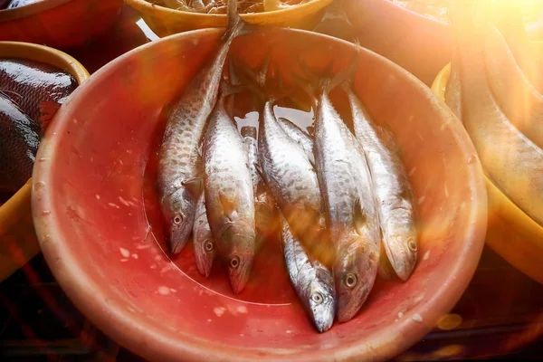 Raw fish on a blackboard — Stock Photo, Image