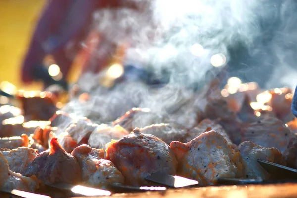 Shish kebab on the grill — Stock Photo, Image