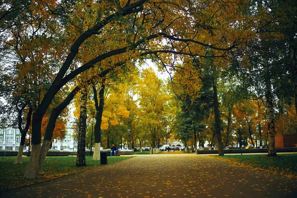 Árboles en el parque de otoño — Foto de Stock