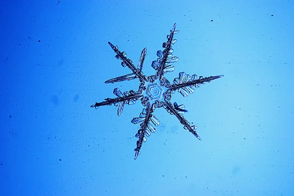 Flocons de neige sur fond bleu — Photo