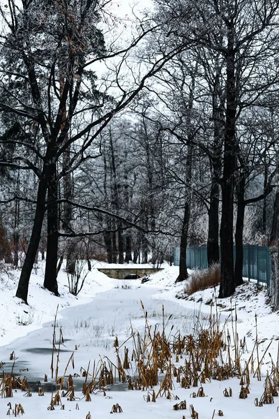 Bellissimo parco invernale — Foto Stock