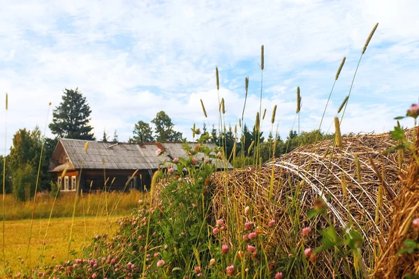 Casa de pueblo en un campo — Foto de Stock