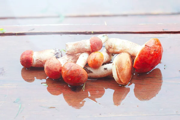 Fresh mushrooms on the table — Stock Photo, Image