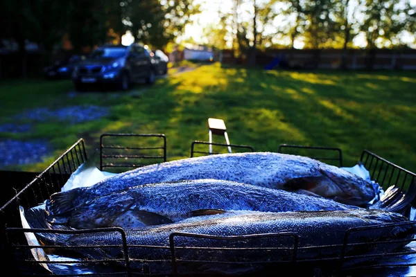 Poisson sur le gril dans la rue — Photo