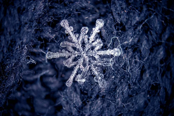 Großer Schneeflockenkristall — Stockfoto