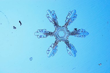 Büyük kar kristal, kar tanesi 