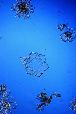 Büyük kar kristal, kar tanesi 