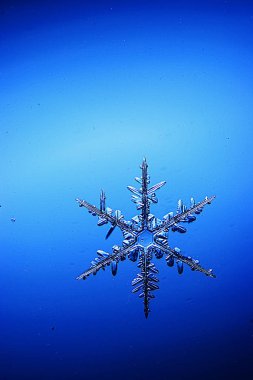Büyük kar kristal, kar tanesi 