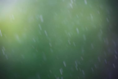 doğal arka plan bulanık