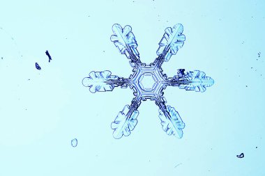 Büyük kar kristal, kar tanesi 