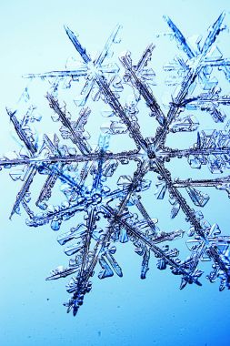 Büyük kar kristal, kar tanesi 