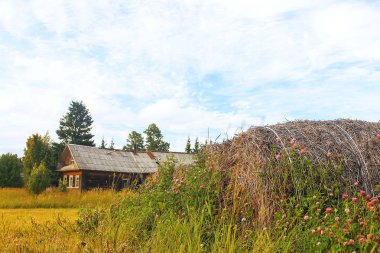 Bir alandaki köy evi
