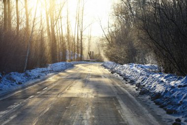 Kış ormanında gün batımı