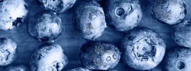  taze orman yaban mersini 