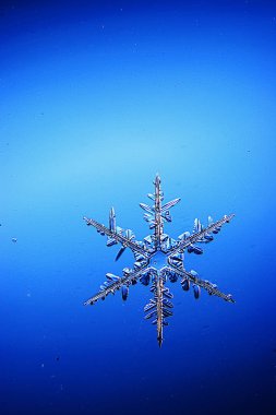 Büyük kar kristal, kar tanesi 