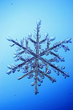 Büyük kar kristal, kar tanesi 
