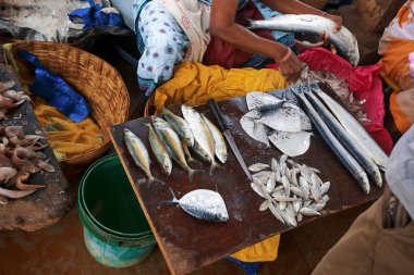 Bir kara tahta üzerinde çiğ balık