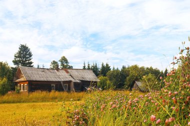Bir alandaki köy evi