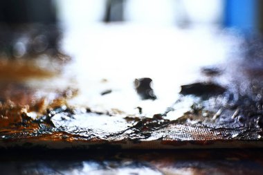 sanatçının tuval üzerine yağlıboya