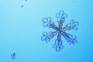 Büyük kar kristal, kar tanesi 