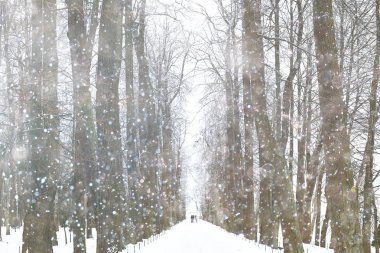 Park ve Peterhof şeritte