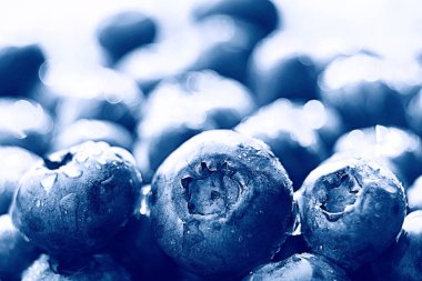 taze çilek, yaban mersini