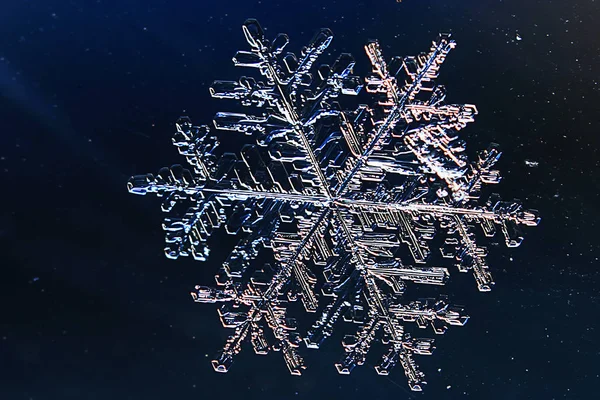 Gran cristal de nieve, Copo de nieve — Foto de Stock