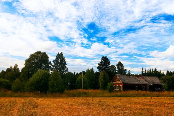 Dorfhaus in einem Feld — Stockfoto