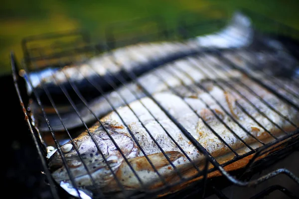 在街上烤架上的鱼 — 图库照片