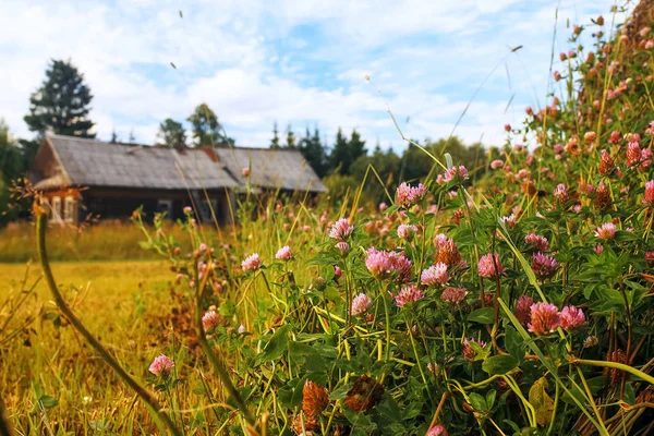 Casa de aldeia em um campo — Fotografia de Stock