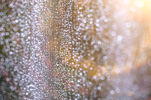 Regendruppels die door het glas stromen — Stockfoto