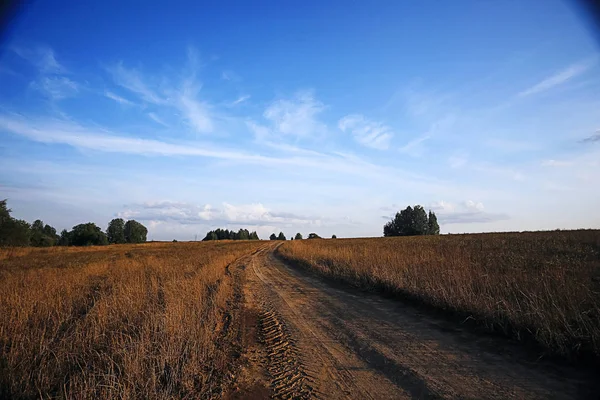 Žito, rostoucí poblíž řeky — Stock fotografie