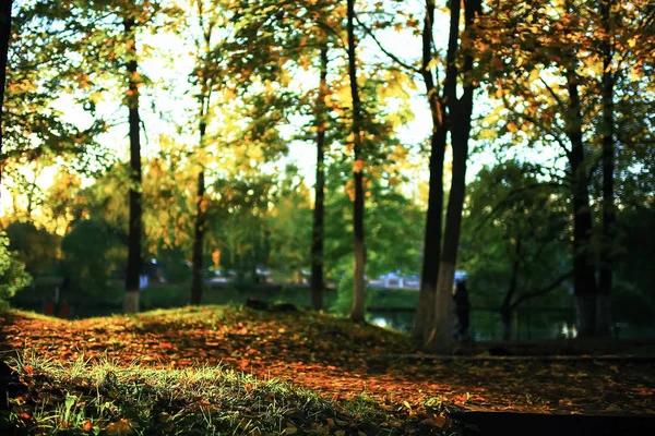 Sunny weather in autumn park — Stock Photo, Image