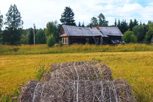 Maison de village dans un champ — Photo