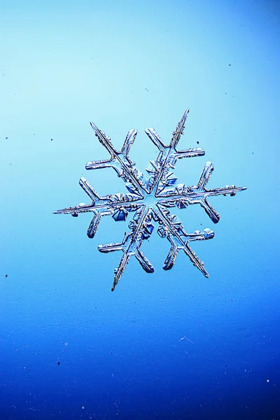 大的雪晶体雪花 — 图库照片