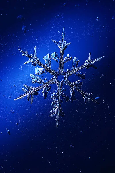 Kryształ duży śnieg, Snowflake — Zdjęcie stockowe