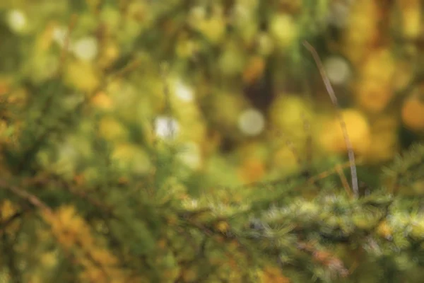 Niewyraźne rozmycia obrazu — Zdjęcie stockowe