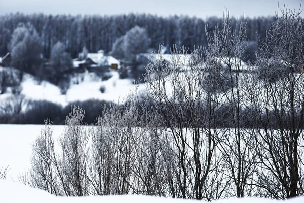 Snötäckt vinterskog — Stockfoto