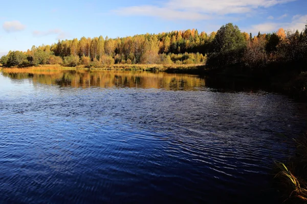 Lago bosque otoño — Foto de Stock