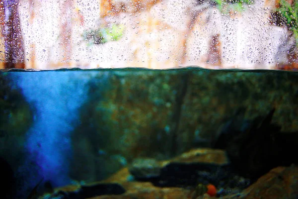 Vidrio de acuario con gotas — Foto de Stock