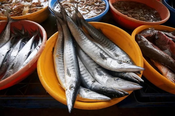 Raw fish on a blackboard — Stock Photo, Image